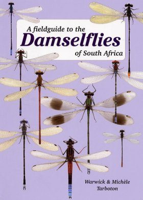 A Field Guide to the Damselflies of South Africa