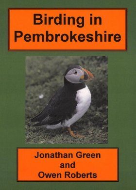 Birding in Pembrokeshire