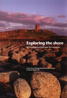 Exploring the Shore in Northumberland and Berwickshire