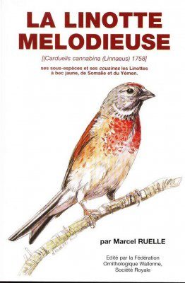 La Linotte Melodieuse (Carduelis cannabina (Linnaeus) 1758)