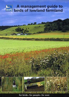 A Management Guide to Birds of Lowland Farmland