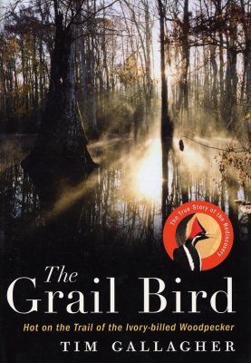The Grail Bird