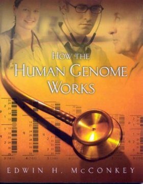 How the Human Genome Works