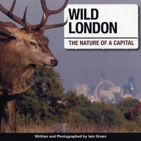 Wild London