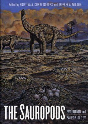 The Sauropods