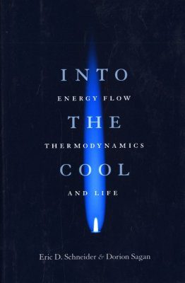 Into the Cool