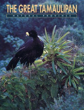 The Great Tamaulipan Natural Province