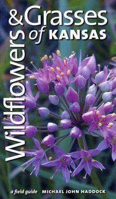 Wildflowers and Grasses of Kansas: A Field Guide