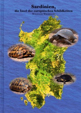 Sardinien: Die Insel der Europäischen Schildkröten