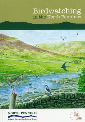 Birdwatching in the North Pennines