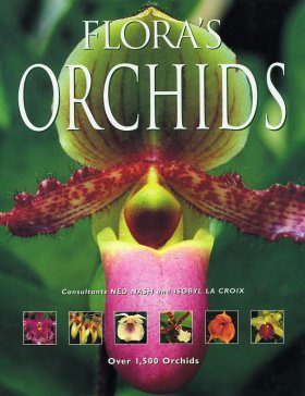 Flora's Orchids