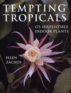 Tempting Tropicals
