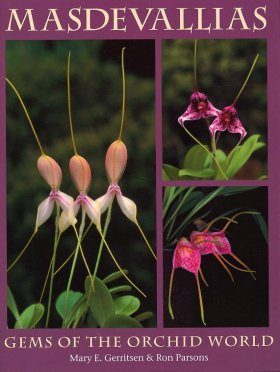 Masdevallias: Gems of the Orchid World