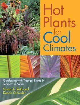 Hot Plants for Cool Climates