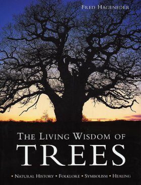 The Living Wisdom of Trees