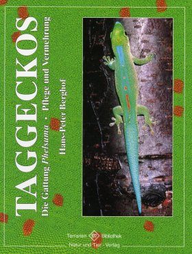 Taggeckos