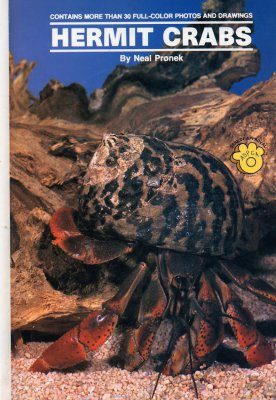 Hermit Crabs