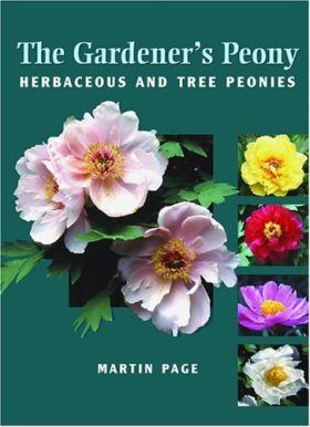 The Gardener's Peony