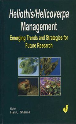 Heliothis/ Helicoverpa Management