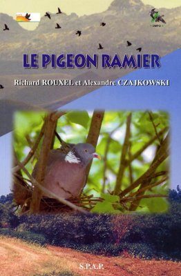 Le Pigeon Ramier