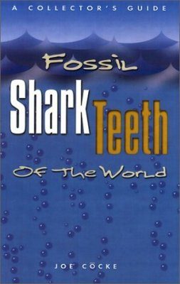 Fossil Shark Teeth of the World