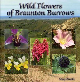 Wild Flowers of Braunton Burrows