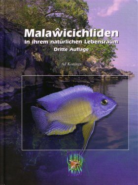 Malaŵicichliden in Ihrem Natürlichen Lebensraum