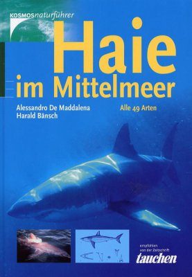Haie im Mittelmeer