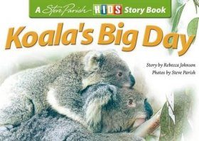 Koala's Big Day