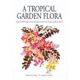 A Tropical Garden Flora