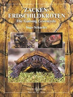 Zacken-Erdschildkroten: Die Gattung Geoemyda