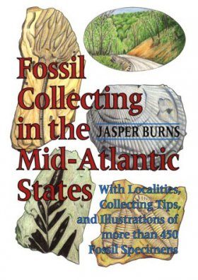 Fossil Collecting in the Mid-Atlantic States