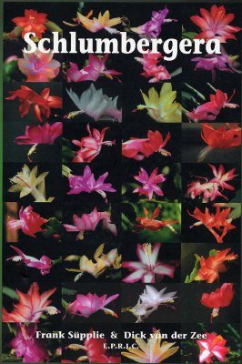 Schlumbergera: Weihnachtskakteen - Christmas Cacti - Kerstcactussen