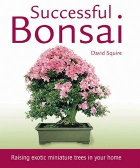 Successful Bonsai