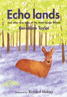 Echo Lands