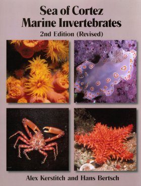 Sea of Cortez Marine Invertebrates