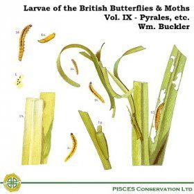 Larvae of the British Butterflies & Moths: Volume 9 - Pyrales, etc.