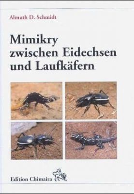 Mimikry Zwischen Eidechsen und Laufkäfern