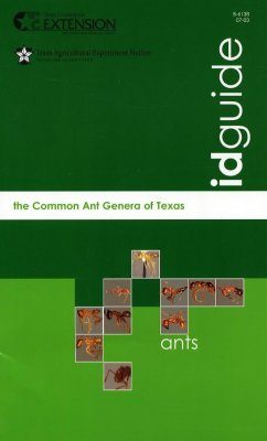 The Common Ant Genera of Texas