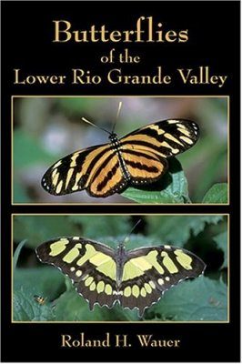 Butterflies of the Lower Rio Grande Valley