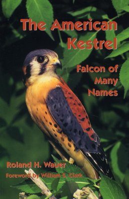 The American Kestrel