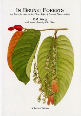 In Brunei Forests