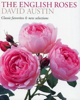 The English Roses: Classic Favorites & New Selections