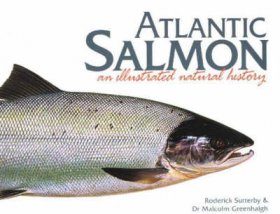 Atlantic Salmon