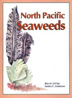 North Pacific Seaweeds