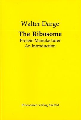 The Ribosome: Protein Manufacturer
