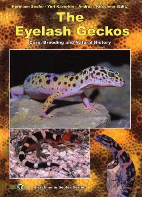 The Eyelash Geckos