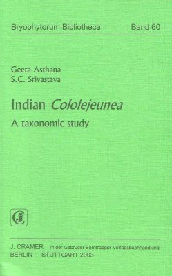 Indian Cololejeunea
