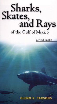 Sharks, Skates and Rays of the Gulf of Mexico