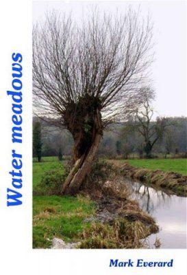 Water Meadows